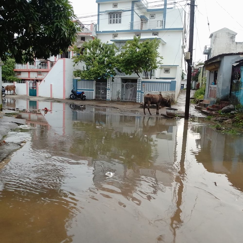 शिकारीपारा में नालियों की सफाई नहीं होने से बारिश का पानी गलियों में भर रहा