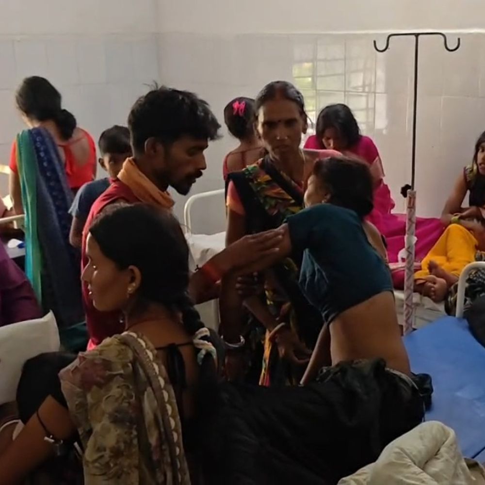 करमा विसर्जन के दौरान भौंरों का हमला:कोडरमा में बच्चों समेत दो दर्जन से अधिक घायल, अस्पताल में इलाज जारी