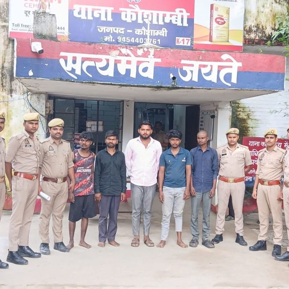 कौशांबी में भैंस चोरी के 6 आरोपी गिरफ्तार:पुलिस ने भैंस-बछड़ा, पिकअप, बाइक और मोबाइल बरामद