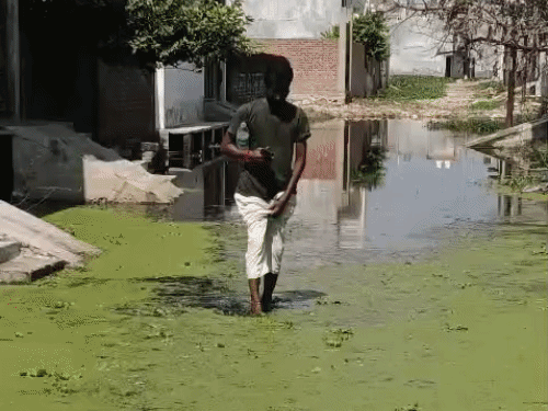 जलभराव के बाद घरों में आ रहा गंदा पानी:मकड़ीखेड़ा समेत कई इलाकों में समस्या, लोग बोले सांसद-विधायक नकारा