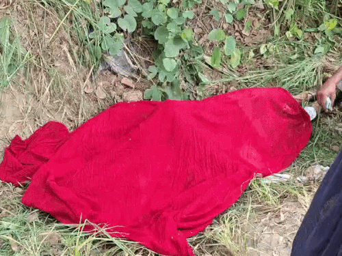 अमृतसर में AAP सरपंच के पति की लाश मिली:औजला बोले- आशंका सही निकली, हत्या की जांच हो; पुलिस से गहन जांच की मांग