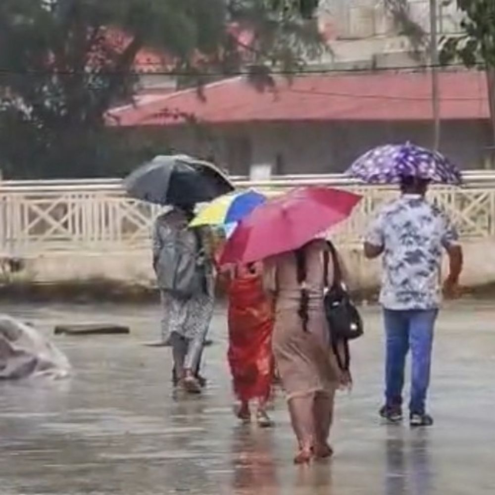 ओडिशा से टकराए चक्रवात का अनूपपुर में असर:24 घंटे में 1 इंच बारिश; कृषि विभाग उपसंचालक-खेतों की नमी से फसल को फायदा