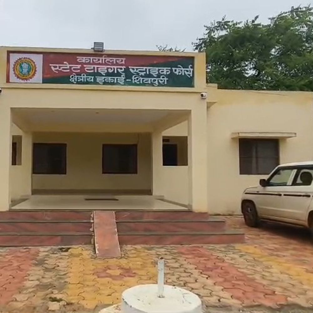 तेंदुआ शिकार मामले में वाइल्ड-लाइफ SOC सीईओ को राहत:सुप्रीम कोर्ट ने गिरफ्तारी से संरक्षण बहाल किया, तीन दिन बाद पेशी