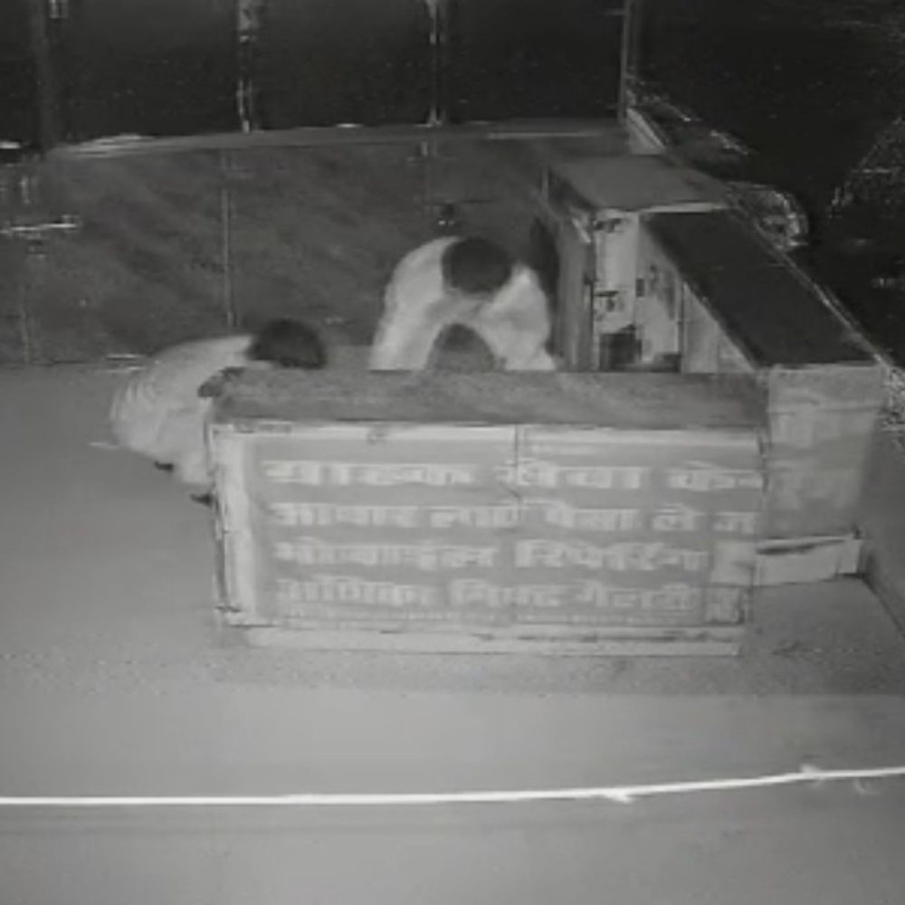 उमरिया के जनरल स्टोर में सेंधमारी, पुराने मोबाइल चुराए:CCTV फुटेज में दो चोर दिखे,  सामान के साथ पासबुक भी ले गए