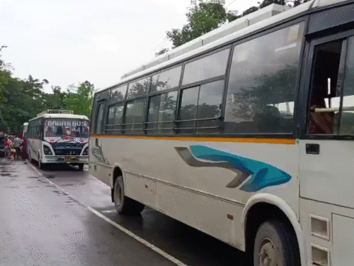 दरभंगा में सड़क पर गिरा विशाल पेड़:सुपौल-दरभंगा मुख्यपथ पर एक किमी लंबा जाम, बारिश से जड़ें हो गई थी कमजोर