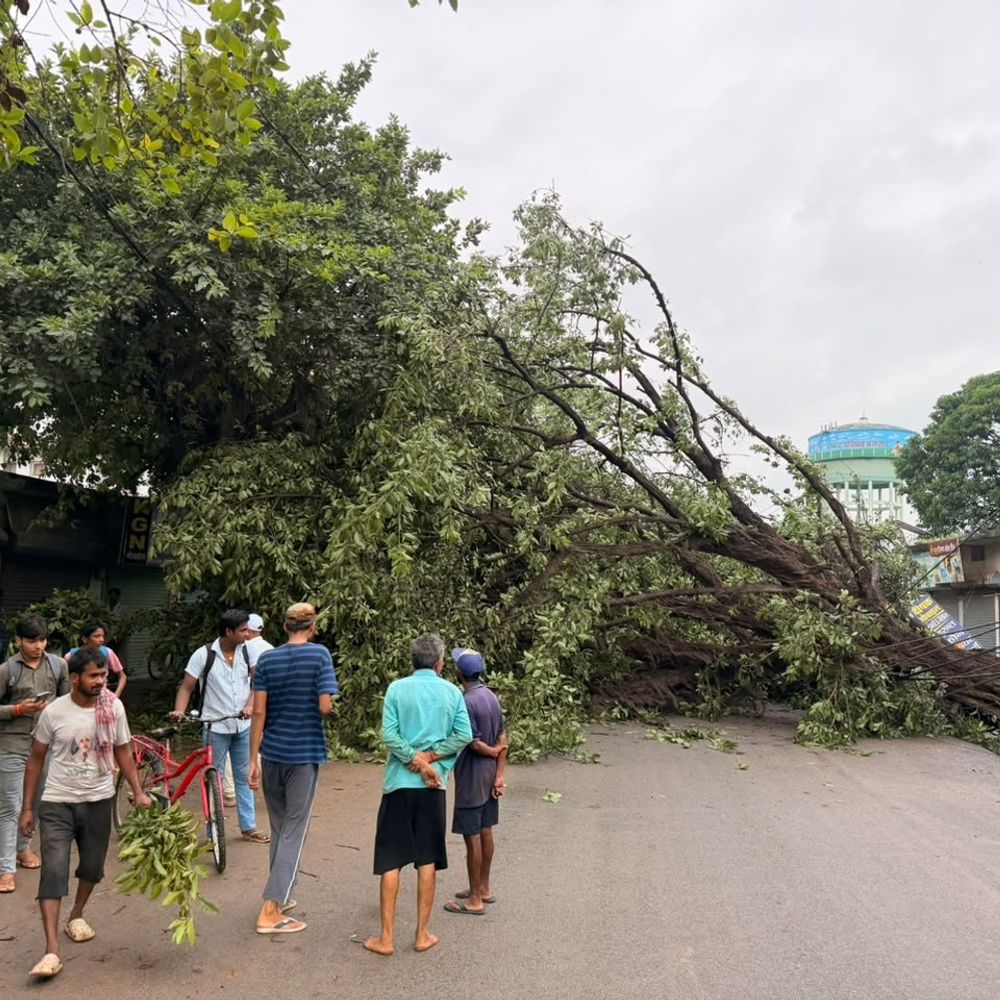 बक्सर में बारिश-तेज हवा से दो जगह गिरे पेड़:बिजली के पोल-तार भी टूटे; शनिवार को भी बारिश-गरज-चमक का अलर्ट, SH पर जलजमाव