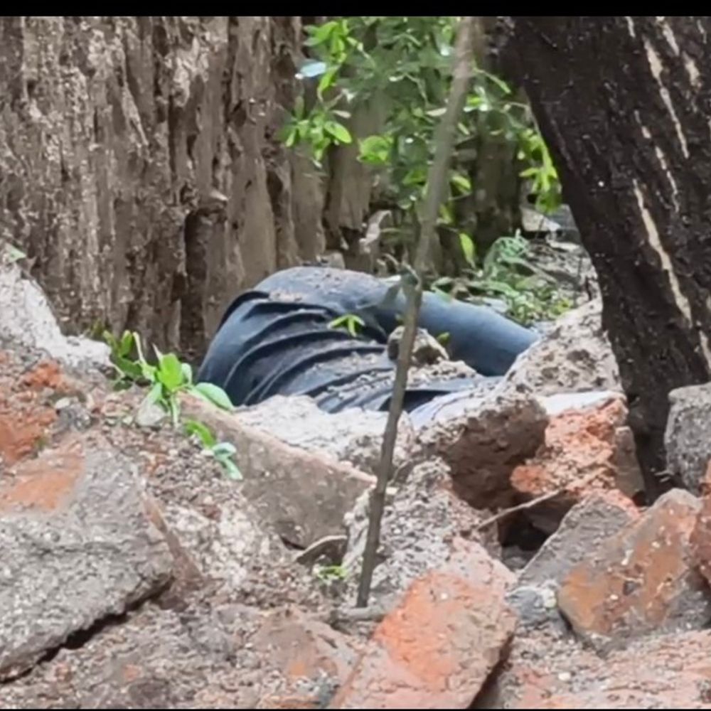 जर्जर मकान का छज्जा गिरा, 50 वर्षीय शख्स की मौत:कटनी के मिशन चौक पर हादसा; लगातार बारिश से कमजोर हो गई थी पुरानी बिल्डिंग