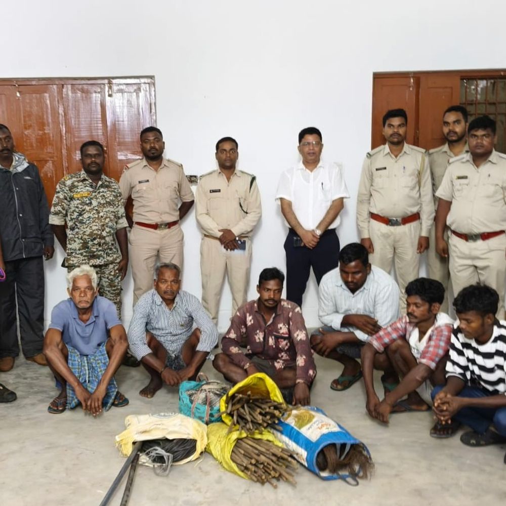करंट के तार की चपेट में नर हाथी की मौत:जशपुर में डेढ़ किमी बिछा था शिकार के लिए तार,6 गिरफ्तार, 5 की तलाश जारी