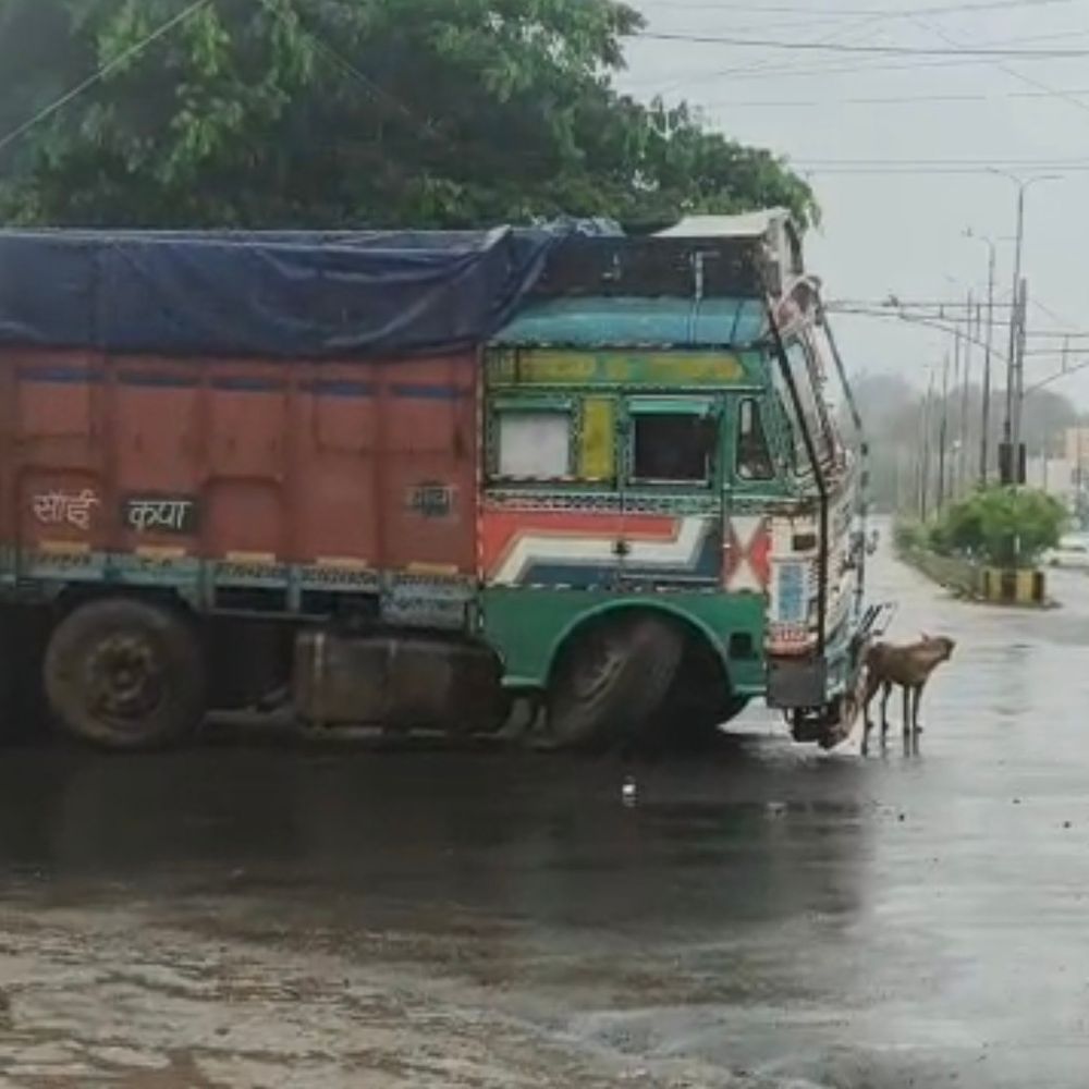 शहडोल बायपास पर सरिया लोड ट्रक का एक्सल टूटा:बीच सड़क पर खड़ा हुआ वाहन, बड़े वाहनों की आवाजाही पर असर