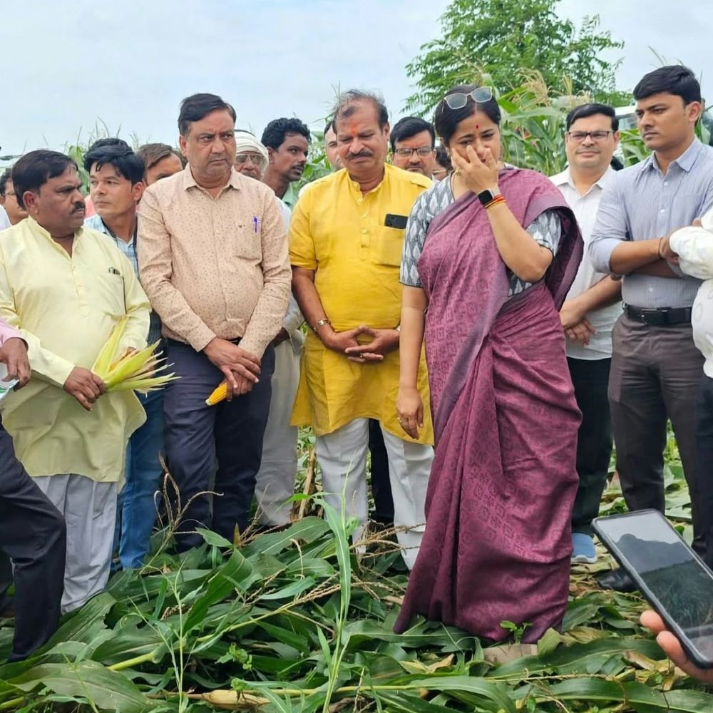कलेक्टर ने बारिश से खराब फसलों का जायजा लिया:अधिकारियों को सर्वे कर नुकसान का आकलन करने कहा; पानी जमा होने से उत्पादन प्रभावित