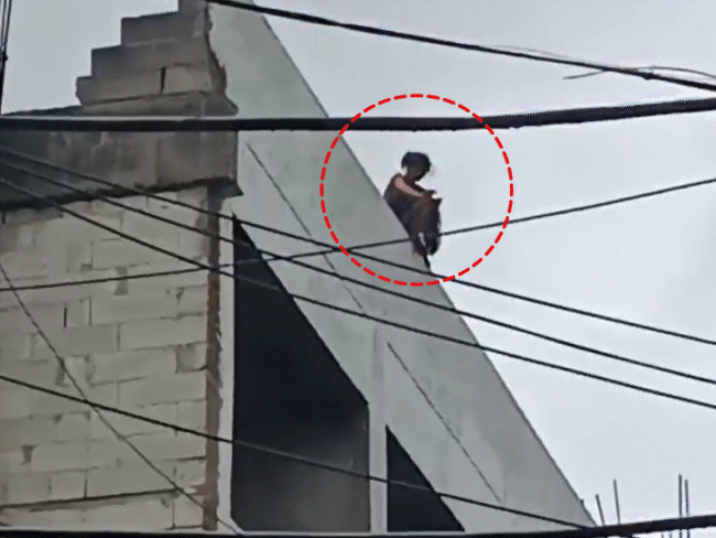 कटनी जिला अस्पताल की चौथी मंजिल से कूदी महिला, VIDEO:पति के साथ जाने की जिद कर रही थी; 30 मिनट तक समझाते रहे पुलिस-परिजन, कमर टूटी