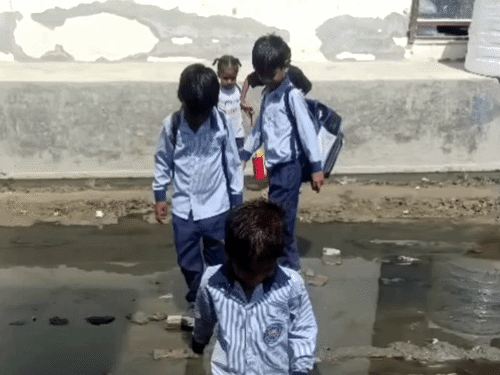 अबोहर के भागू गांव की गलियां बनीं गदगी का तालाब:खतरे के बीच स्कूल जाते बच्चे, बदबू से घरों में रहना मुश्किल, फैल रहीं बीमारियां