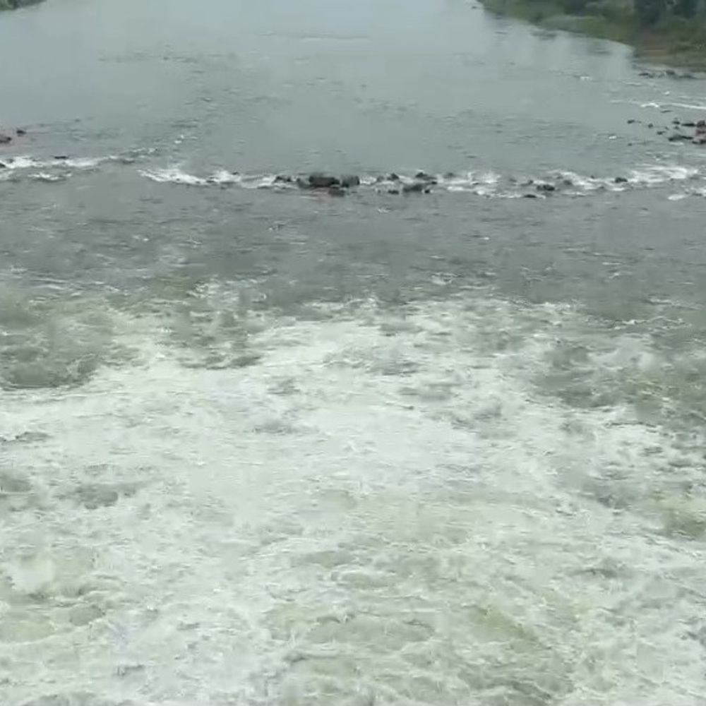 टीकमगढ़ में बारिश से दिन का तापमान 8 डिग्री गिरा:24 घंटे में 1.01 इंच औसत बारिश, सुजारा बांध से पानी छोड़ा
