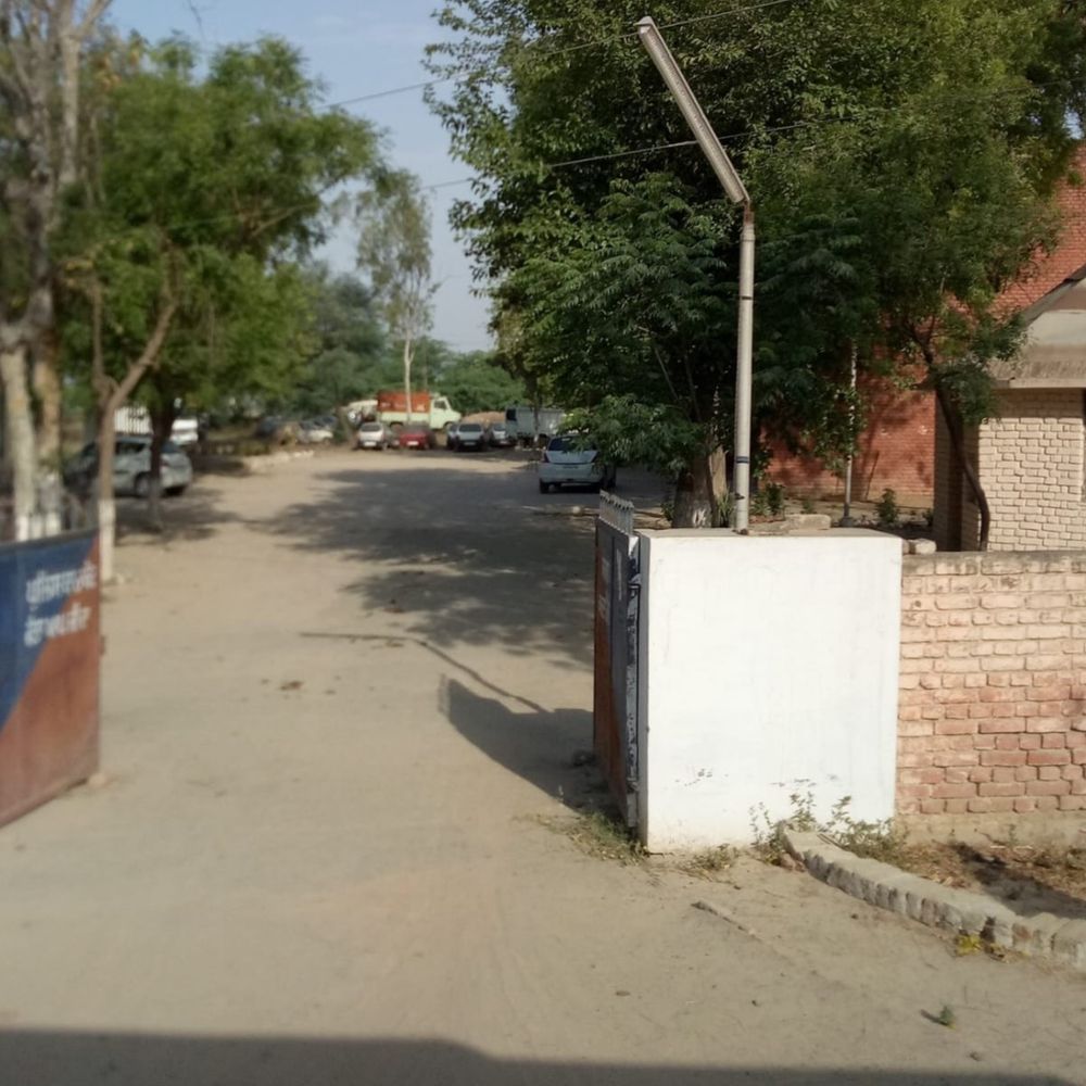 बठिंडा में 2 युवकों की मौत:एक का रजवाहे में मिला शव, 3 दिनों से था लापता, कुत्तों ने नोंचा; दूसरा घर में मृत मिला
