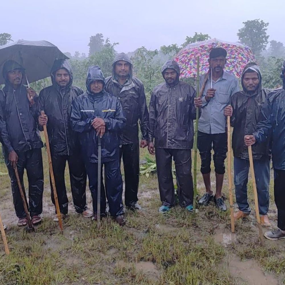 छिंदवाड़ा से नरसिंहपुर पहुंचा जंगली हाथी:झामर-दूधी नदी के रास्ते पार की जिले की सीमा; दो लोगों पर कर चुका था हमला