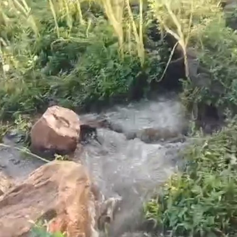 पन्ना- बृजपुर तालाब का बांध कटाव, तेजी से हो रिसाव:किसान परेशान; फूटने का सता रहा डर, खरीफ की फसल को नुकसान की आशंका