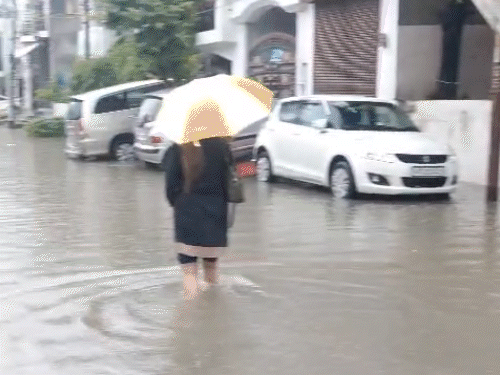 लखनऊ में रिकॉर्ड बारिश, 65 घंटे से बरसात जारी:50 से ज्यादा पेड़ गिरे, बिजली गुल; फसलें बर्बाद, किसान की मौत