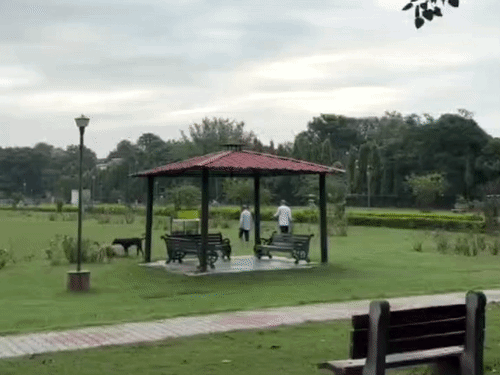 पंजाब-चंडीगढ़ में आज बारिश के आसार:16 जिलों में अलर्ट, टेंपरेचर सामान्य के करीब, मानसून सीजन में 38% कम बरसे बादल