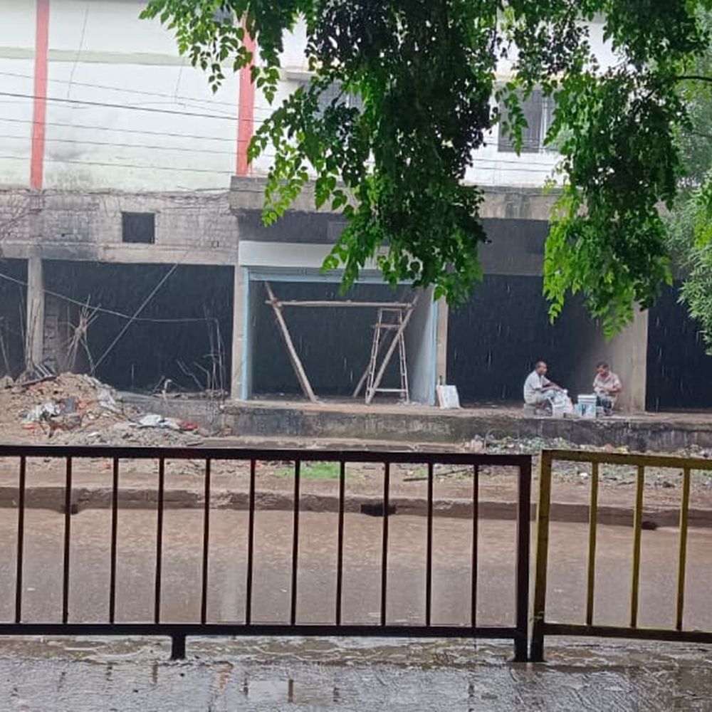 सर्विस लेन के किनारे पेड़ गिरने की कगार पर, हादसे की आशंका बढ़ी