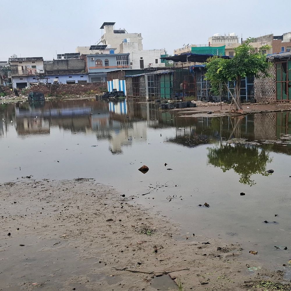 धौलपुर में फल मंडी में 3 महीने से भरा पानी:मुख्य रास्ते डूबे, व्यापारी परेशान, कारोबार हो रहा प्रभावित