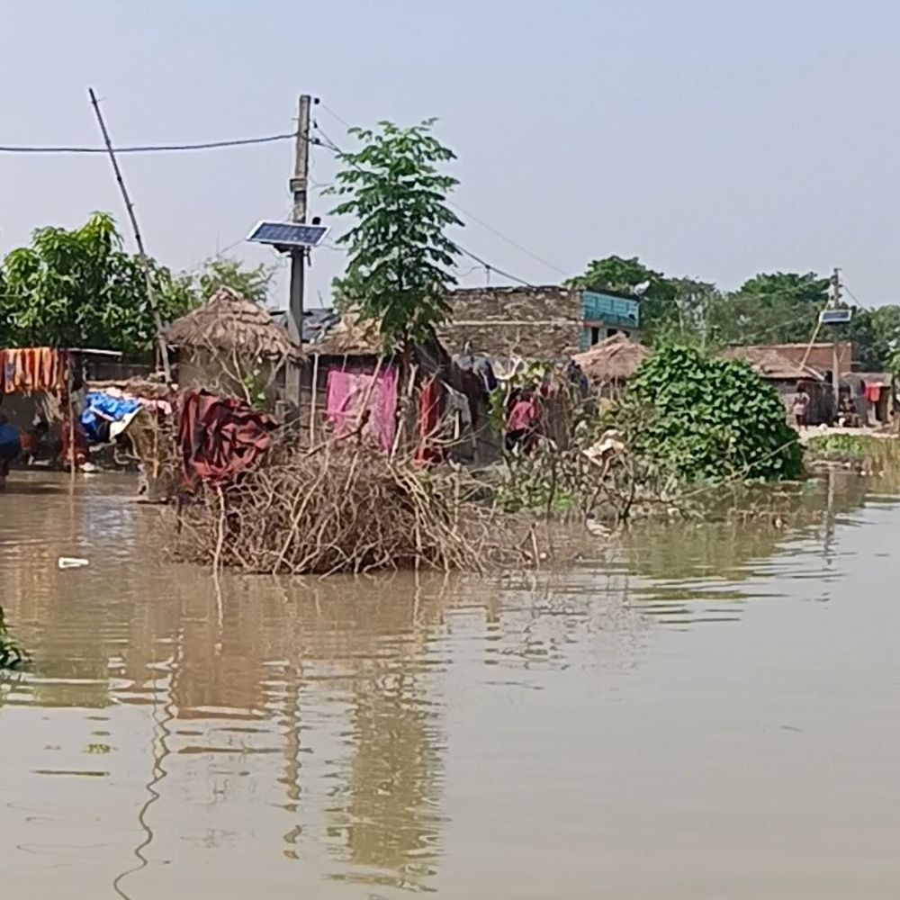 बेतिया के विशंभरपुर में बाढ़ का पानी फैला:टापू बना गांव, खाना-पानी, इलाज और पढ़ाई ठप