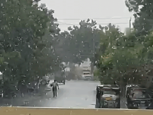 बीकानेर में आज भी बारिश का अलर्ट:फसलों को नुकसान की आशंका, श्रीगंगानगर में धूलभरी आंधी से बदला मौसम