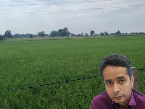 धान कटाई और मंडियों को लेकर सिरसा डीसी की एडवाइजरी:रात को नहीं चलेगी कंबाइन हार्वेस्टर, टोकन से होगी वाहनों की एंट्री
