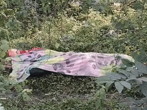 बिलासपुर में गैंगवार...चाकू घोंपकर युवक को मार डाला:पुरानी रंजिश में दो गुटों में विवाद, जमकर चले लाठी-डंडे, जंगल में रात भर पड़ी रही लाश