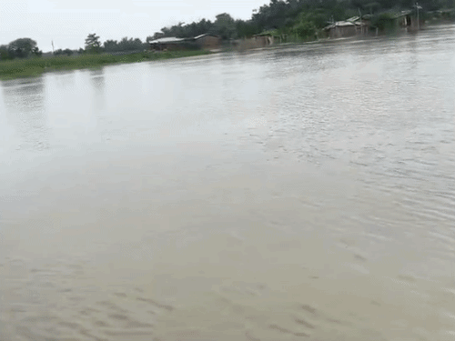 नेपाल में बारिश का असर, कोसी का जलस्तर बढ़ा:दरभंगा के किरतपुर में घरों में घुसा पानी; कुशेश्वरस्थान पूर्वी में 20 हजार लोगों का सड़क संपर्क टूटा