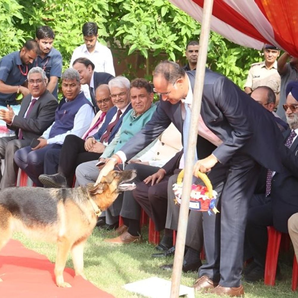 न्यायपालिका में एआई के इस्तेमाल पर मंथन:अच्छी अंग्रेजी और सही व्याकरण से एआई का जवाब कानूनी रूप से सही नहीं हो जाता: जस्टिस गोविंदराज
