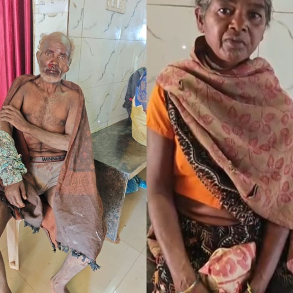 जंगली भालू ने तीन ग्रामीणों पर किया हमला, महिला गंभीर:मैनपाट में बस्ती में घुसे भालू ने मचाया आतंक, ग्रामीणों में दहशत