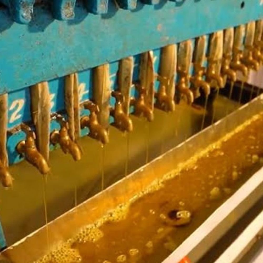 तिलहन प्रोसेसिंग यूनिट लगाने पर 9.90 लाख की सब्सिडी मिलेगी:5 अक्टूबर तक मांगे आवेदन; खाद्य तेल उत्पादन को बढ़ावा दे रही सरकार