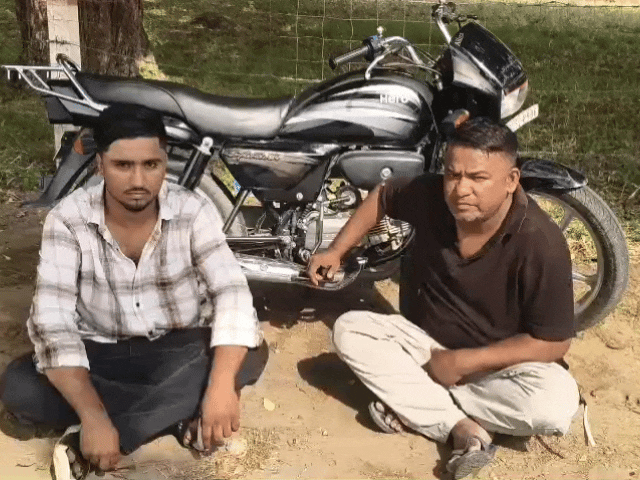 राजस्थान के 3 जिलों में नशे पर कार्रवाई, 4 गिरफ्तार:12 ग्राम MDMA, गांजे के 19 पौधे और 3 किलो डोडा-पोस्त जब्त
