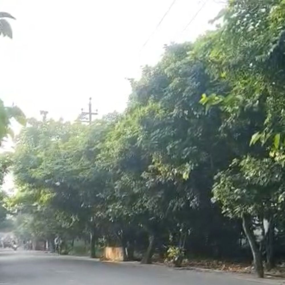 मुरादाबाद में टेम्प्रेचर 30°C:धूप निकली, रुक-रुककर हवा बह रही,आज बारिश नहीं होगी