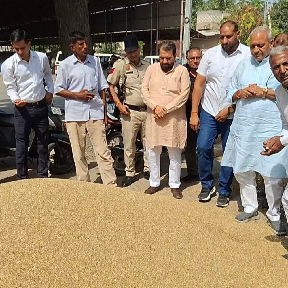 मंत्री रणबीर गंगवा बोले-किसानों की हर फसल MSP पर खरीदेंगे:हिसार की नई अनाज मंडी का जायजा लिया; कांग्रेस को बताया मुद्दाविहीन पार्टी