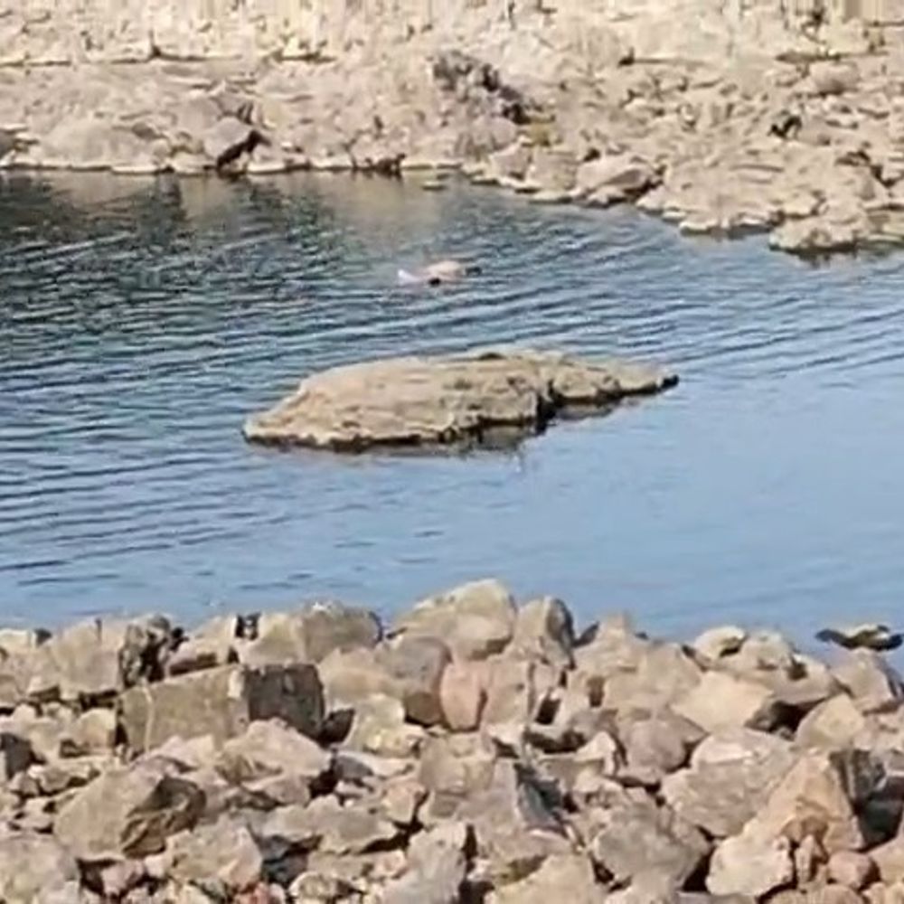 झांसी में डैम में डूबने से तीन लोगों की मौत:बबीना के सुकवा डुकवा डैम में मिले शव, अभी तक पहचान नहीं