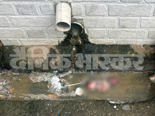 सोनीपत नाली में मिला 4-5 माह का भ्रूण:पानी डालने पहुंची महिला ने देखा; रात में फेंके जाने की आशंका, पुलिस ने कराया पोस्टमॉर्टम