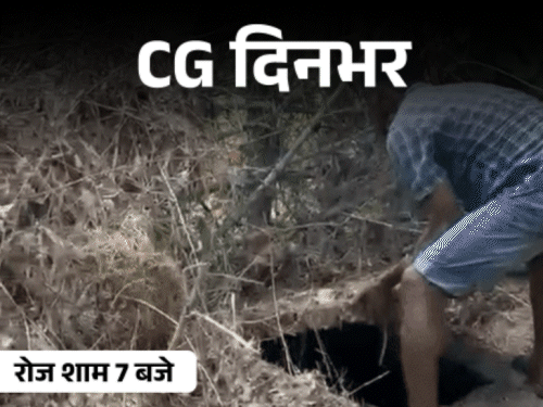 छत्तीसगढ़ दिनभर, 10 बड़ी खबरें:भाई को कुल्हाड़ी से काटा, शराब पीने के कारण गर्लफ्रेंड की हत्या, 125 अफसरों का ट्रांसफर, आंगन में पैंगोलिन