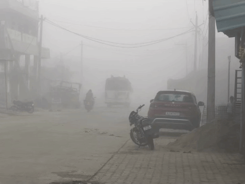 बारां में घना कोहरा छाया, गाड़ियों की धीमी रही रफ्तार:बारिश रुकने के बाद दिखा असर, फसलों को मिल रहा फायदा