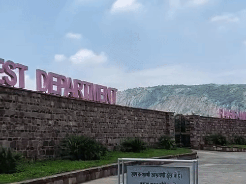 नालंदा- राजगीर जू सफारी के डायरेक्टर को मिला सम्मान:बेस्ट यूज ऑफ टेक्नोलॉजी के लिए मिला पुरस्कार, ये अवॉर्ड पाने वाले बिहार कैडर के पहले IFS अफसर