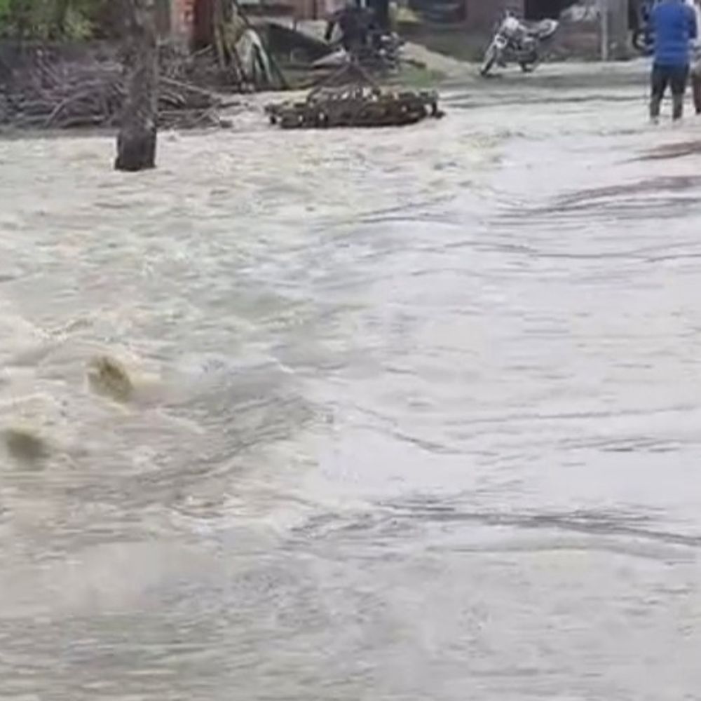 मुरादाबाद में रामगंगा और कोसी नदी उफान पर:6 से अधिक गांवों में घुसा पानी, खेतों में डूबी धान की फसल