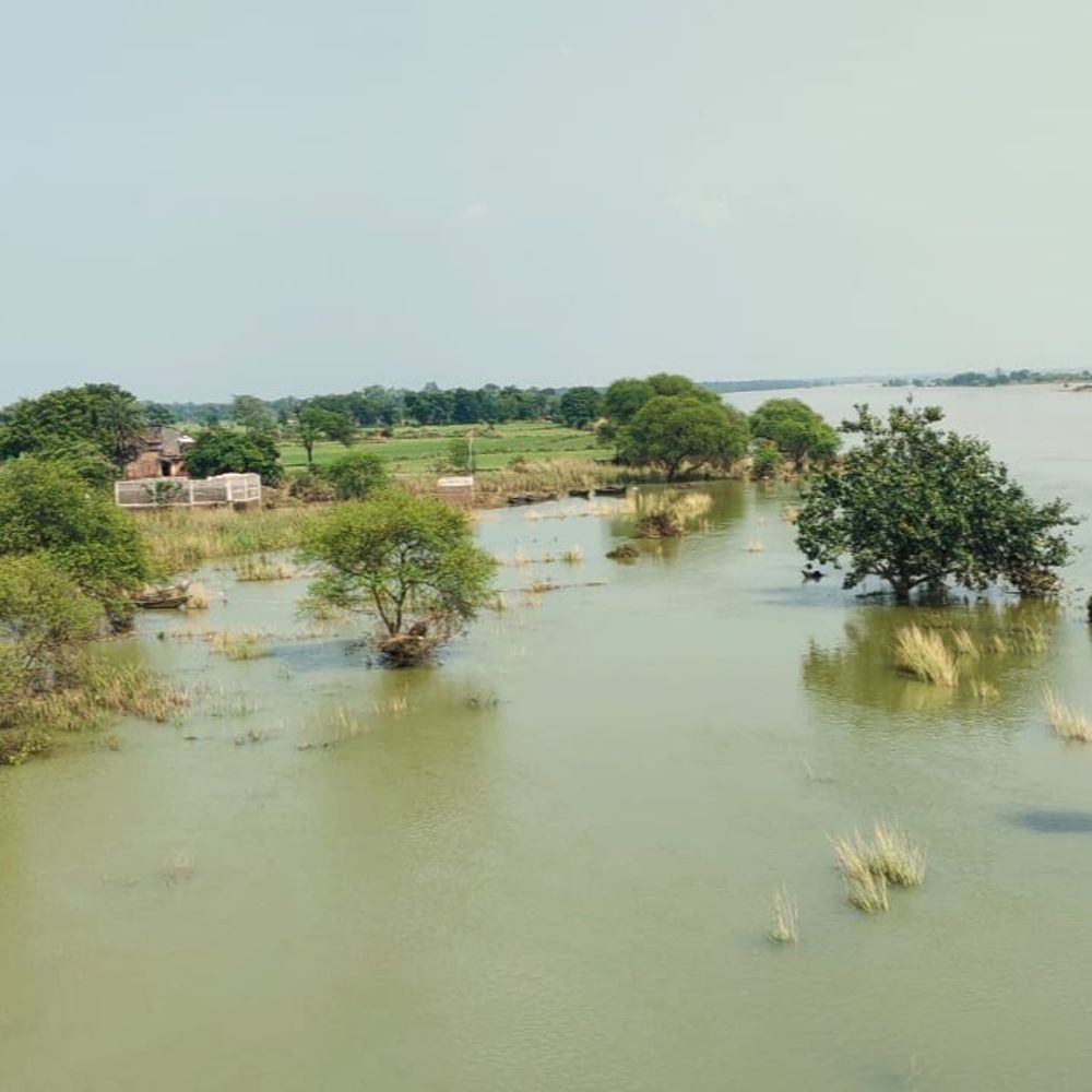 महानदी का पानी उतरा; कैंप में अब भी 122 परिवार:रायगढ़ के सुरजगढ़ गांव में घुसा था नदी का पानी, फसल नुकसान का आंकलन करेंगे