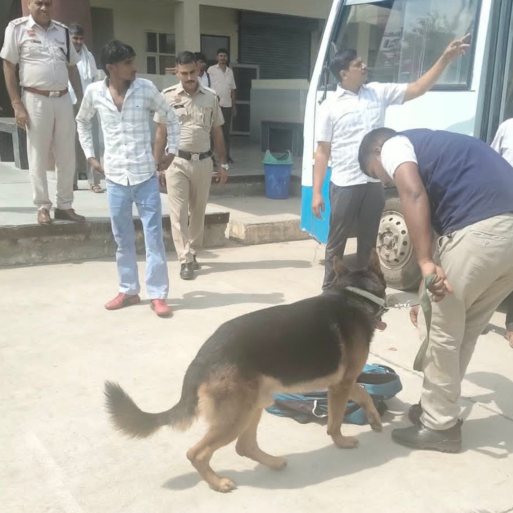 पलवल पुलिस ने चलाया सर्च ऑपरेशन:स्नीफर डॉग की मदद से दुकानों की चेकिंग, संदिग्ध वाहनों की जांच, लोगों से पूछताछ