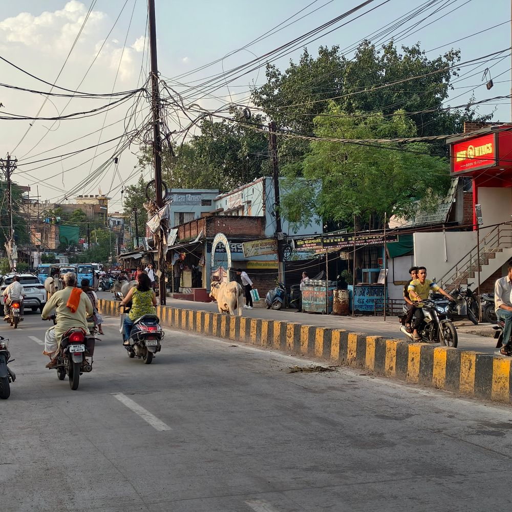 दतिया में गर्म, रात ठंडी; तापमान में 11 डिग्री अंतर:पांच दिन मौसम साफ रहेगा, न्यूनतम 23 और अधिकतम तापमान 34 डिग्री रहा; डॉक्टर बोले-ध्यान रखें