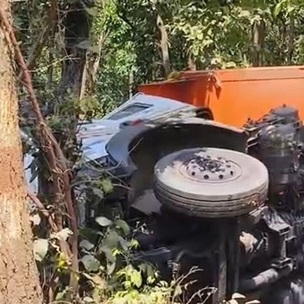 ब्रेक फेल होने से बेकाबू हुआ कोयला लोड ट्रेलर:पेंड्रा-बिलासपुर मार्ग पर कारीआम के पास पेड़ से टकराकर सड़क किनारे पलटा, चालक को मामूली चोट