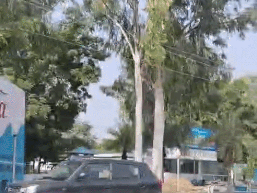 हरियाणा में आज दूध सप्लाई बंद का ऐलान:किसानों की मिल्क प्लांट घेरने की चेतावनी; रेट ₹100/L करने की मांग