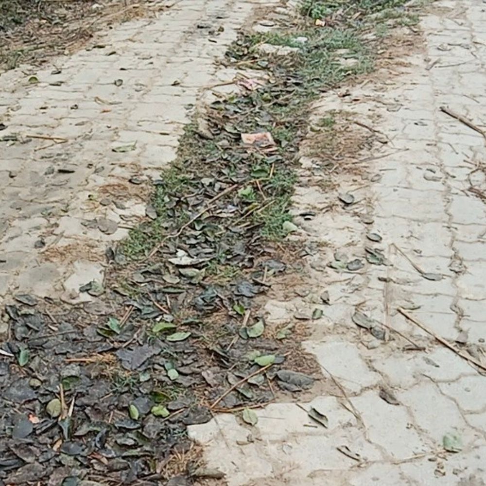 बलिया में 169 किमी ग्रामीण सड़कों की होगी मरम्मत:जल जीवन मिशन की पाइपलाइन बिछाने से हुई थीं खराब, अब सुधरेंगी