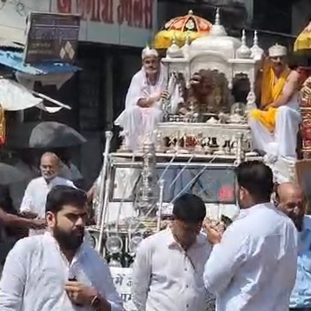 विदिशा में जैन समाज ने निकाला श्रीजी विमानोत्सव:पंचमी पर पालकी में विराजमान भगवान की उतारी आरती