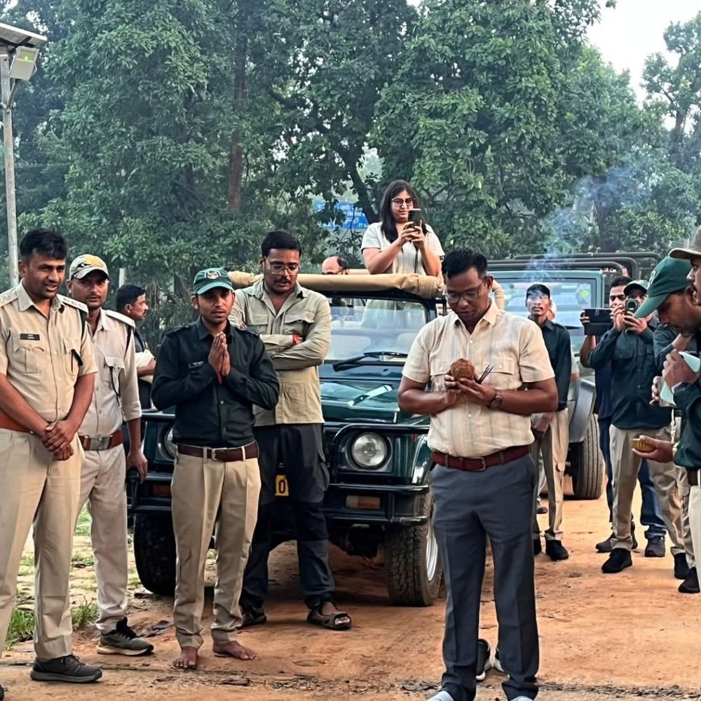 संजय टाइगर रिजर्व में तीन महीने बाद सफारी शुरू:पहले दिन 9 पर्यटकों ने कराई बुकिंग, टूरिस्ट को सुविधाएं देगा प्रबंधन
