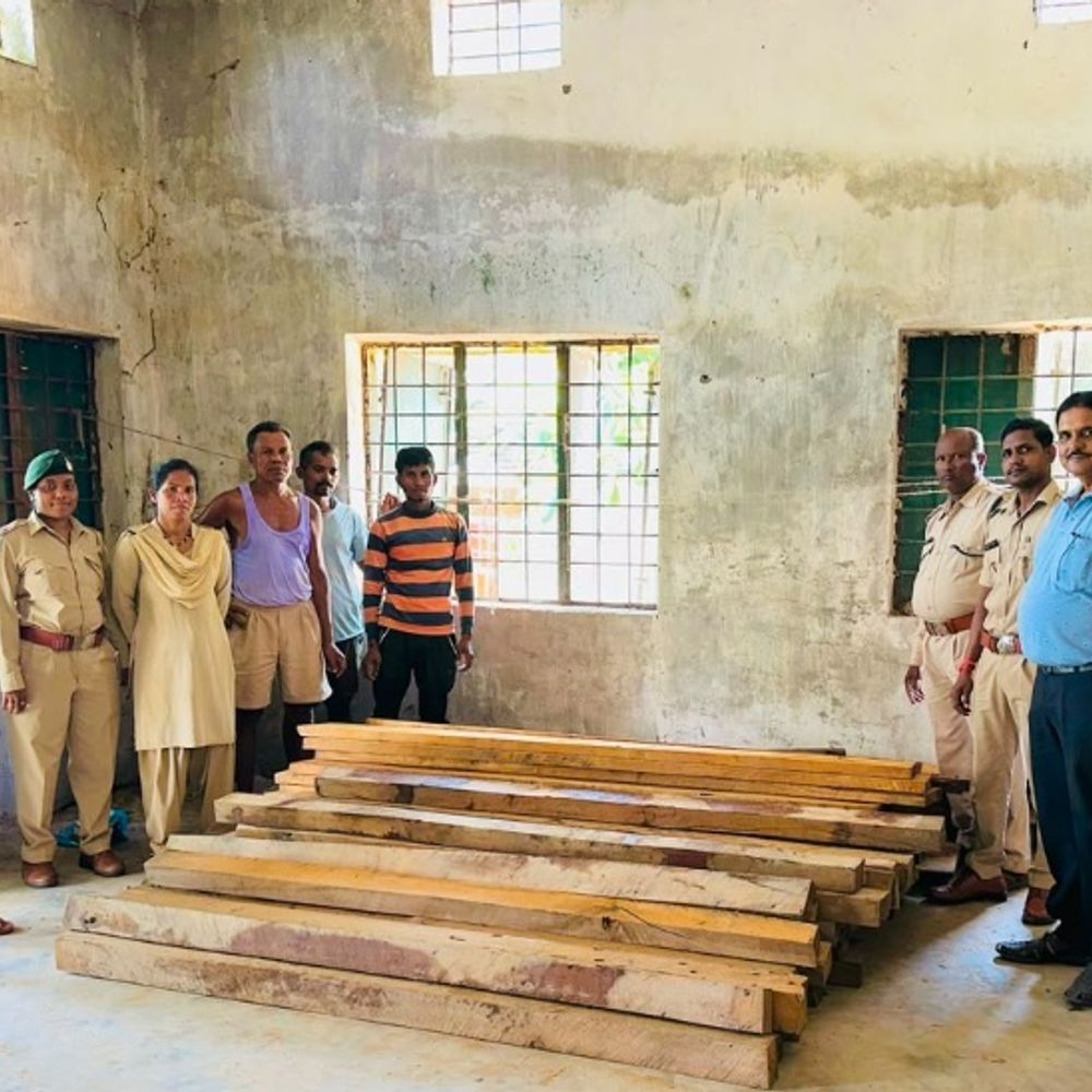 सुकमा में अवैध लकड़ी तस्करी पर कार्रवाई:48 नग लकड़ी जब्त, कीमत 1.20 लाख, तस्करी में इस्तेमाल ऑटो भी पकड़ा